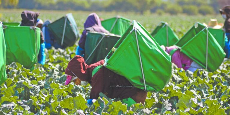 Economía mexicana se contrae 0.6% en el primer trimestre de 2026 y acumula tres caídas en seis trimestres