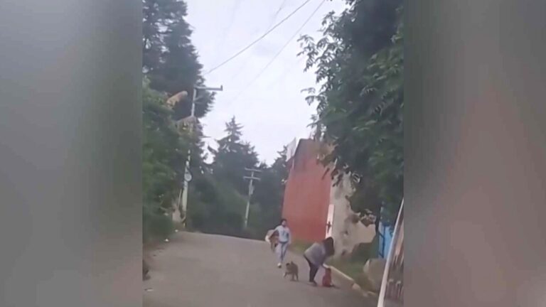 Automovilista capta en video a bebé gateando solo en calle de Chignautla, Puebla