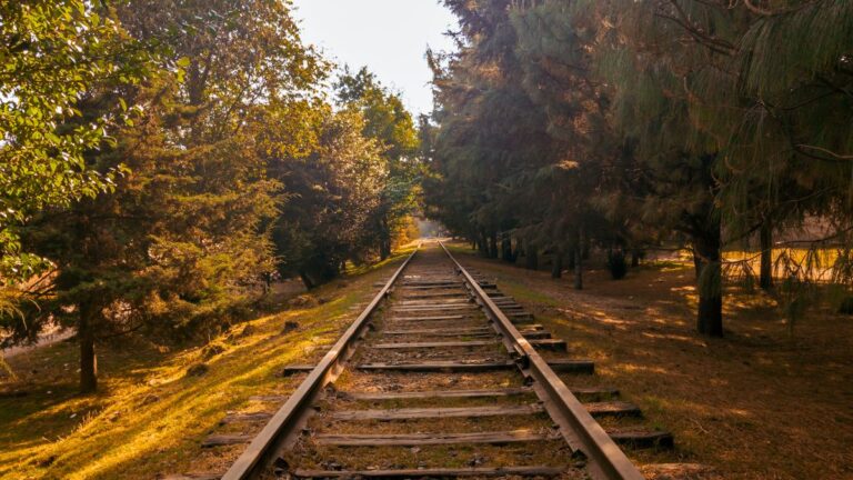 Hombre pierde la vida tras ser arrollado por el tren en la colonia Santa Margarita, entre Puebla y Amozoc