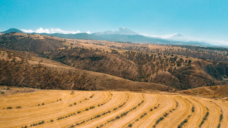 Entregan maquinaria agrícola en Atlixco con inversión de 36 mdp Entregan maquinaria agrícola en Atlixco con inversión de 36 mdp