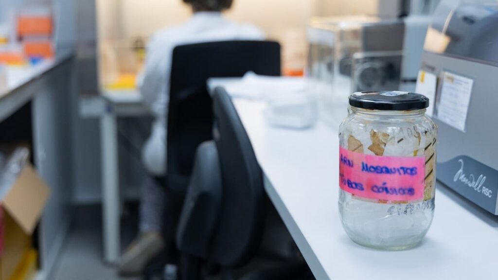 Mosquito transmisor del virus del Nilo Occidental en zona de vigilancia sanitaria de Andalucía, España