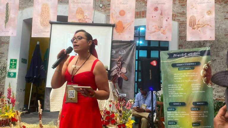 Puebla concentra el 32% de las razas de maíz del país, pero el híbrido desplaza al nativo