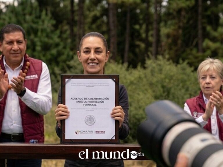 Sheinbaum firma decreto de reforestación: 6 millones de árboles en un día
