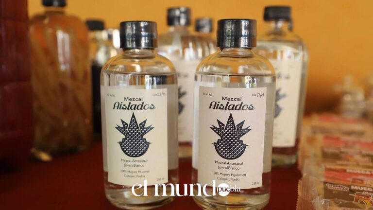 Festival del Mezcal Tehuacán 2026: 15 expositores y 3 días de sabor
