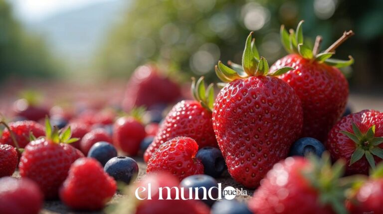 Feria de las Berries 2026 en Huejotzingo: fechas y todo lo que debes saber Feria De Las Berries Huejotzingo