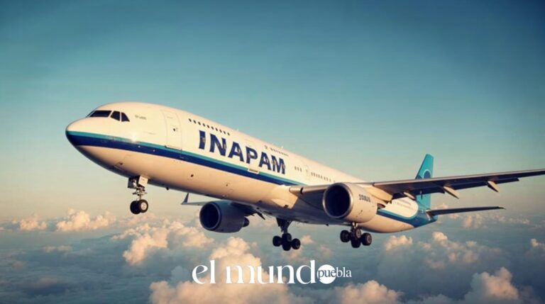 Credencial Inapam Descuentos En Vuelos