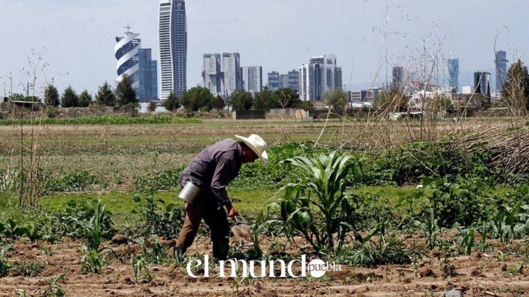 Ocoyucan y Coronango duplican población: el boom urbano de Puebla Vista de un fraccionamiento residencial en Ocoyucan, zona metropolitana de Puebla
