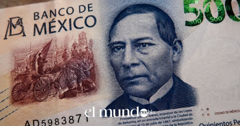 Sembrando Vida paga $6,450 el 9 de septiembre: requisitos